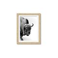 Picture of Buffalo Bill _GroupedProduct_Rectangle_Portrait_Photography _GroupedProduct_Rectangle_Portrait_Framed_Matted_