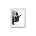 Picture of Buffalo Bill _GroupedProduct_Rectangle_Portrait_Photography _GroupedProduct_Rectangle_Portrait_Framed_Matted_