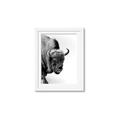 Picture of Buffalo Bill _GroupedProduct_Rectangle_Portrait_Photography _GroupedProduct_Rectangle_Portrait_Framed_Matted_