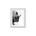 Picture of Buffalo Bill _GroupedProduct_Rectangle_Portrait_Photography _GroupedProduct_Rectangle_Portrait_Framed_Matted_