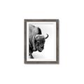 Picture of Buffalo Bill _GroupedProduct_Rectangle_Portrait_Photography _GroupedProduct_Rectangle_Portrait_Framed_Matted_