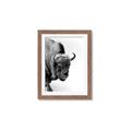Picture of Buffalo Bill _GroupedProduct_Rectangle_Portrait_Photography _GroupedProduct_Rectangle_Portrait_Framed_Matted_