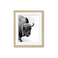 Picture of Buffalo Bill _GroupedProduct_Rectangle_Portrait_Photography _GroupedProduct_Rectangle_Portrait_Framed_Matted_
