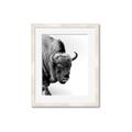 Picture of Buffalo Bill _GroupedProduct_Rectangle_Portrait_Photography _GroupedProduct_Rectangle_Portrait_Framed_Matted_