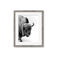 Picture of Buffalo Bill _GroupedProduct_Rectangle_Portrait_Photography _GroupedProduct_Rectangle_Portrait_Framed_Matted_