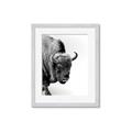 Picture of Buffalo Bill _GroupedProduct_Rectangle_Portrait_Photography _GroupedProduct_Rectangle_Portrait_Framed_Matted_