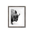 Picture of Buffalo Bill _GroupedProduct_Rectangle_Portrait_Photography _GroupedProduct_Rectangle_Portrait_Framed_Matted_