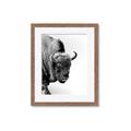 Picture of Buffalo Bill _GroupedProduct_Rectangle_Portrait_Photography _GroupedProduct_Rectangle_Portrait_Framed_Matted_