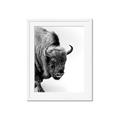 Picture of Buffalo Bill _GroupedProduct_Rectangle_Portrait_Photography _GroupedProduct_Rectangle_Portrait_Framed_Matted_