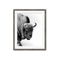 Picture of Buffalo Bill _GroupedProduct_Rectangle_Portrait_Photography _GroupedProduct_Rectangle_Portrait_Framed_Matted_