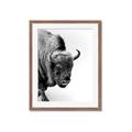 Picture of Buffalo Bill _GroupedProduct_Rectangle_Portrait_Photography _GroupedProduct_Rectangle_Portrait_Framed_Matted_