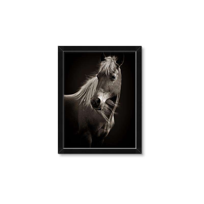 Picture of Ebony, the Horse _GroupedProduct_Rectangle_Portrait_Photography _GroupedProduct_Rectangle_Portrait_Framed_Matted_