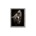 Picture of Ebony, the Horse _GroupedProduct_Rectangle_Portrait_Photography _GroupedProduct_Rectangle_Portrait_Framed_Matted_