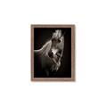 Picture of Ebony, the Horse _GroupedProduct_Rectangle_Portrait_Photography _GroupedProduct_Rectangle_Portrait_Framed_Matted_
