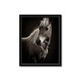 Picture of Ebony, the Horse _GroupedProduct_Rectangle_Portrait_Photography _GroupedProduct_Rectangle_Portrait_Framed_Matted_