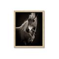 Picture of Ebony, the Horse _GroupedProduct_Rectangle_Portrait_Photography _GroupedProduct_Rectangle_Portrait_Framed_Matted_