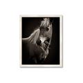Picture of Ebony, the Horse _GroupedProduct_Rectangle_Portrait_Photography _GroupedProduct_Rectangle_Portrait_Framed_Matted_