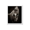 Picture of Ebony, the Horse _GroupedProduct_Rectangle_Portrait_Photography _GroupedProduct_Rectangle_Portrait_Framed_Matted_