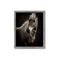 Picture of Ebony, the Horse _GroupedProduct_Rectangle_Portrait_Photography _GroupedProduct_Rectangle_Portrait_Framed_Matted_