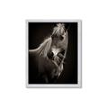 Picture of Ebony, the Horse _GroupedProduct_Rectangle_Portrait_Photography _GroupedProduct_Rectangle_Portrait_Framed_Matted_