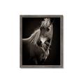 Picture of Ebony, the Horse _GroupedProduct_Rectangle_Portrait_Photography _GroupedProduct_Rectangle_Portrait_Framed_Matted_