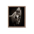 Picture of Ebony, the Horse _GroupedProduct_Rectangle_Portrait_Photography _GroupedProduct_Rectangle_Portrait_Framed_Matted_