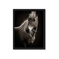 Picture of Ebony, the Horse _GroupedProduct_Rectangle_Portrait_Photography _GroupedProduct_Rectangle_Portrait_Framed_Matted_