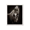 Picture of Ebony, the Horse _GroupedProduct_Rectangle_Portrait_Photography _GroupedProduct_Rectangle_Portrait_Framed_Matted_