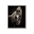 Picture of Ebony, the Horse _GroupedProduct_Rectangle_Portrait_Photography _GroupedProduct_Rectangle_Portrait_Framed_Matted_