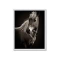 Picture of Ebony, the Horse _GroupedProduct_Rectangle_Portrait_Photography _GroupedProduct_Rectangle_Portrait_Framed_Matted_