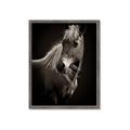Picture of Ebony, the Horse _GroupedProduct_Rectangle_Portrait_Photography _GroupedProduct_Rectangle_Portrait_Framed_Matted_