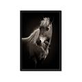 Picture of Ebony, the Horse _GroupedProduct_Rectangle_Portrait_Photography _GroupedProduct_Rectangle_Portrait_Framed_Matted_