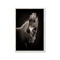 Picture of Ebony, the Horse _GroupedProduct_Rectangle_Portrait_Photography _GroupedProduct_Rectangle_Portrait_Framed_Matted_