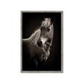 Picture of Ebony, the Horse _GroupedProduct_Rectangle_Portrait_Photography _GroupedProduct_Rectangle_Portrait_Framed_Matted_