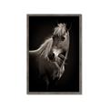 Picture of Ebony, the Horse _GroupedProduct_Rectangle_Portrait_Photography _GroupedProduct_Rectangle_Portrait_Framed_Matted_