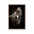Picture of Ebony, the Horse _GroupedProduct_Rectangle_Portrait_Photography _GroupedProduct_Rectangle_Portrait_Framed_Matted_