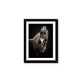 Picture of Ebony, the Horse _GroupedProduct_Rectangle_Portrait_Photography _GroupedProduct_Rectangle_Portrait_Framed_Matted_