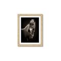 Picture of Ebony, the Horse _GroupedProduct_Rectangle_Portrait_Photography _GroupedProduct_Rectangle_Portrait_Framed_Matted_