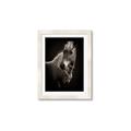 Picture of Ebony, the Horse _GroupedProduct_Rectangle_Portrait_Photography _GroupedProduct_Rectangle_Portrait_Framed_Matted_