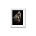 Picture of Ebony, the Horse _GroupedProduct_Rectangle_Portrait_Photography _GroupedProduct_Rectangle_Portrait_Framed_Matted_