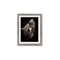 Picture of Ebony, the Horse _GroupedProduct_Rectangle_Portrait_Photography _GroupedProduct_Rectangle_Portrait_Framed_Matted_