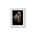 Picture of Ebony, the Horse _GroupedProduct_Rectangle_Portrait_Photography _GroupedProduct_Rectangle_Portrait_Framed_Matted_