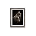Picture of Ebony, the Horse _GroupedProduct_Rectangle_Portrait_Photography _GroupedProduct_Rectangle_Portrait_Framed_Matted_