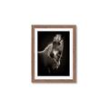 Picture of Ebony, the Horse _GroupedProduct_Rectangle_Portrait_Photography _GroupedProduct_Rectangle_Portrait_Framed_Matted_