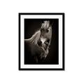 Picture of Ebony, the Horse _GroupedProduct_Rectangle_Portrait_Photography _GroupedProduct_Rectangle_Portrait_Framed_Matted_