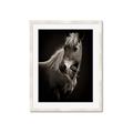 Picture of Ebony, the Horse _GroupedProduct_Rectangle_Portrait_Photography _GroupedProduct_Rectangle_Portrait_Framed_Matted_