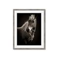 Picture of Ebony, the Horse _GroupedProduct_Rectangle_Portrait_Photography _GroupedProduct_Rectangle_Portrait_Framed_Matted_