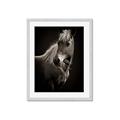 Picture of Ebony, the Horse _GroupedProduct_Rectangle_Portrait_Photography _GroupedProduct_Rectangle_Portrait_Framed_Matted_