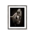Picture of Ebony, the Horse _GroupedProduct_Rectangle_Portrait_Photography _GroupedProduct_Rectangle_Portrait_Framed_Matted_