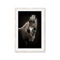 Picture of Ebony, the Horse _GroupedProduct_Rectangle_Portrait_Photography _GroupedProduct_Rectangle_Portrait_Framed_Matted_